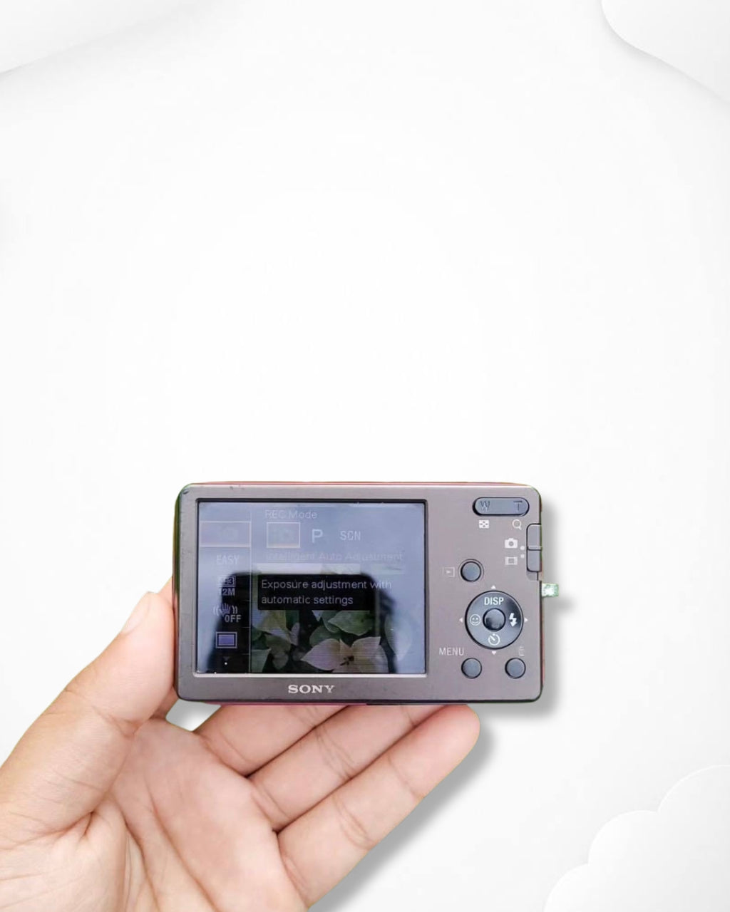 Sony DSC-W310